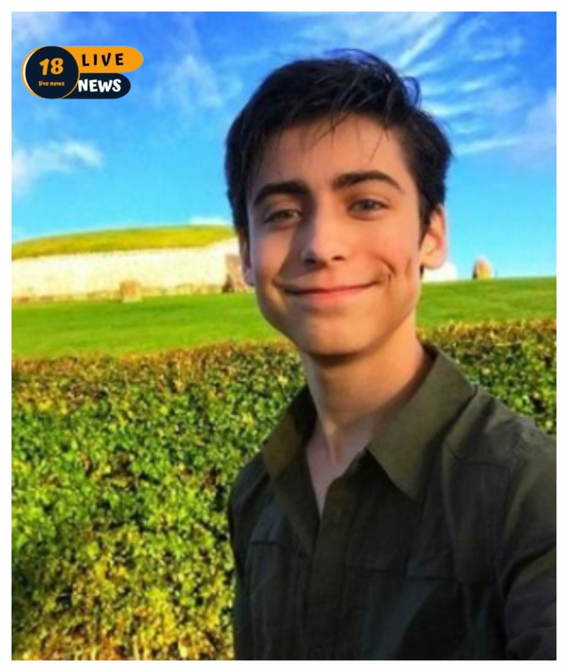 Aidan Gallagher Wiki