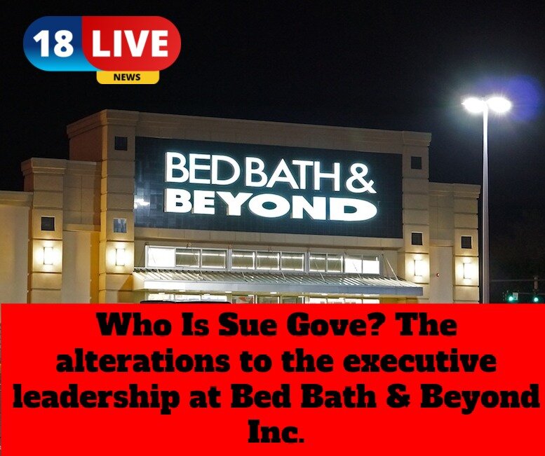 Who Is Sue Gove