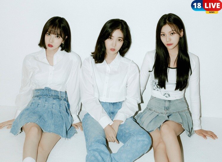 VIVIZ Official Light Stick